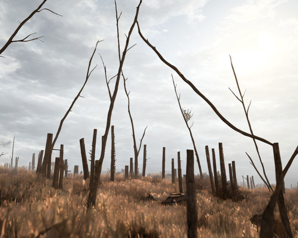 Barren tree trunks in golden grass under cloudy sky with city skyline.