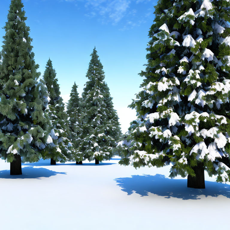 Snowy landscape with tall evergreen trees under clear blue sky