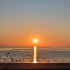 Dragons flying over serene sea at sunset with person on pier