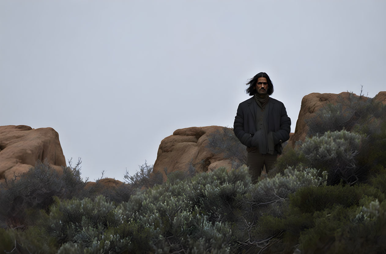 Person standing in desert with rocks and shrubbery under overcast sky