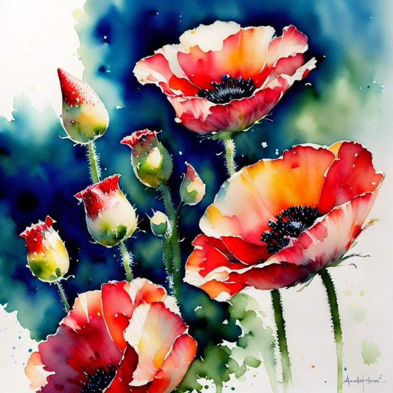 Colorful watercolor painting of red poppies with black centers on blue background