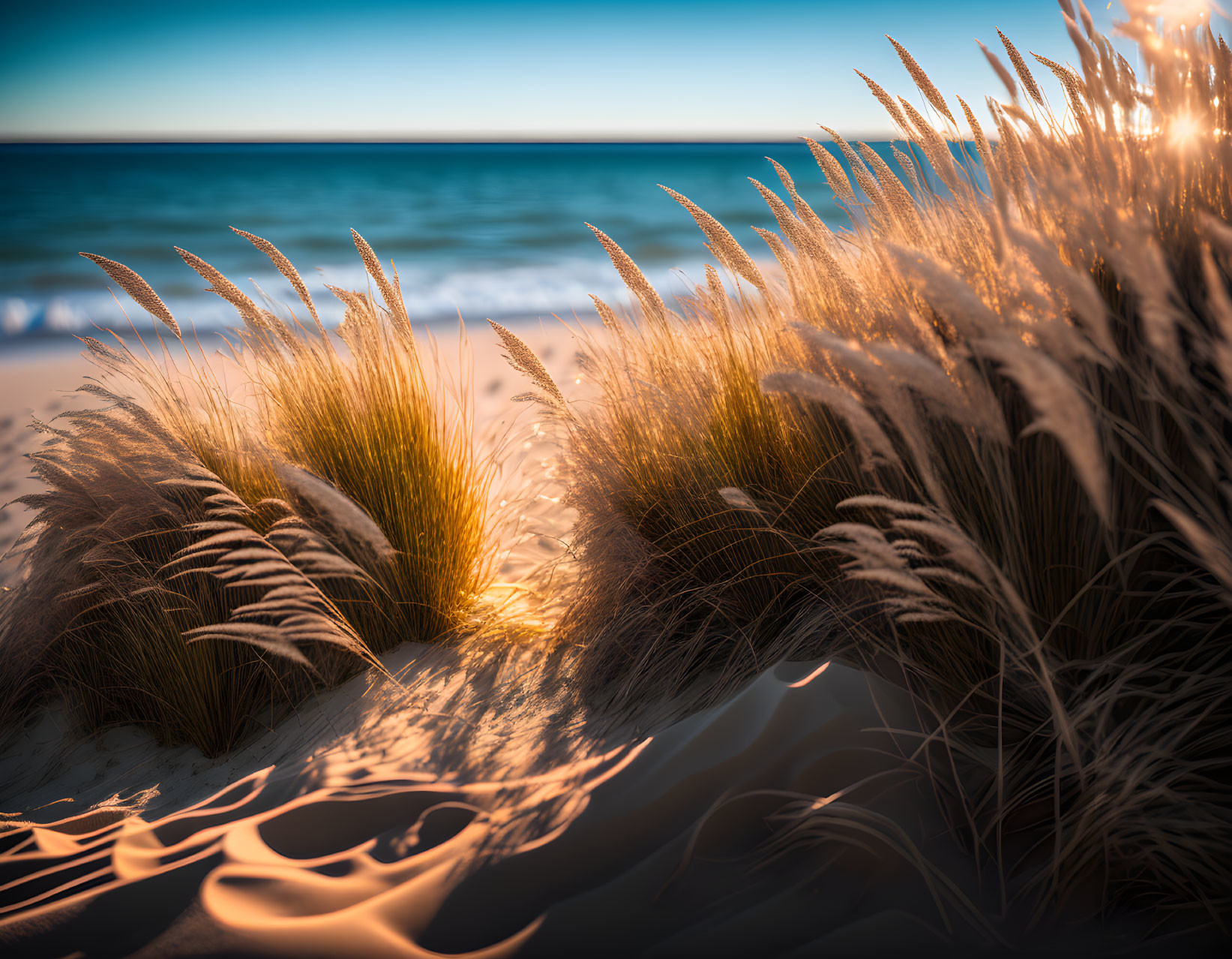 Tranquil beach scene at sunset with tall grass and calm sea