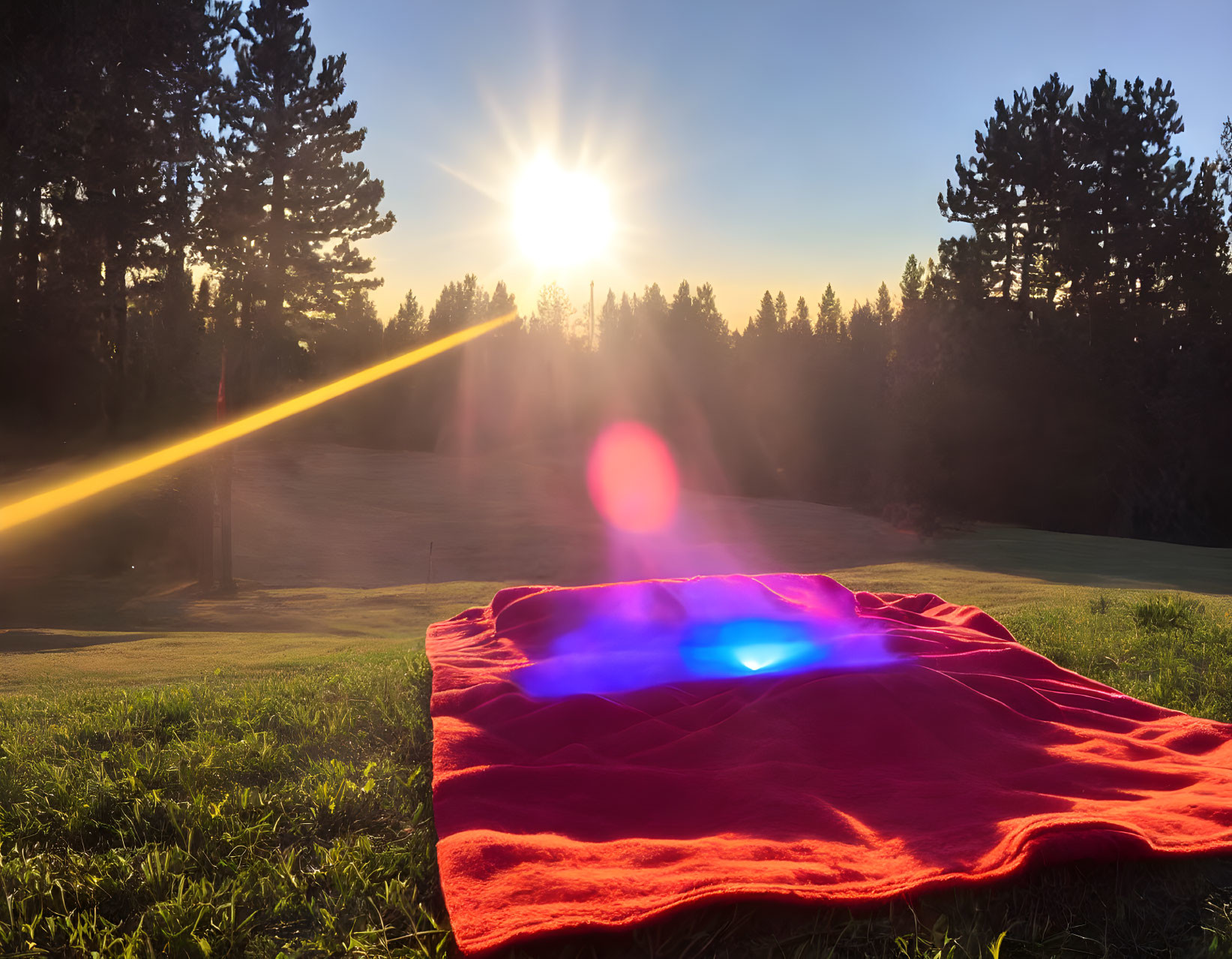 Red picnic blanket on grass with trees at sunset, warm sun flare.