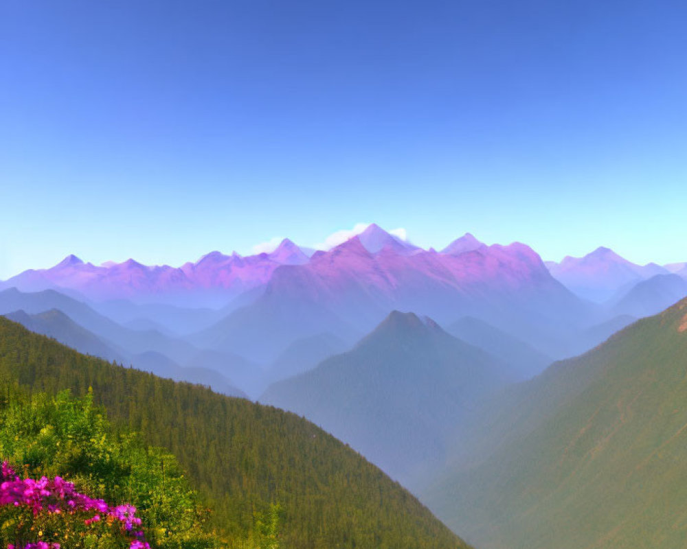 Scenic view of green hills, flowers, and blue mountains under clear sky