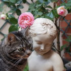 Young girl in white floral headband with striped cat among soft-hued flowers