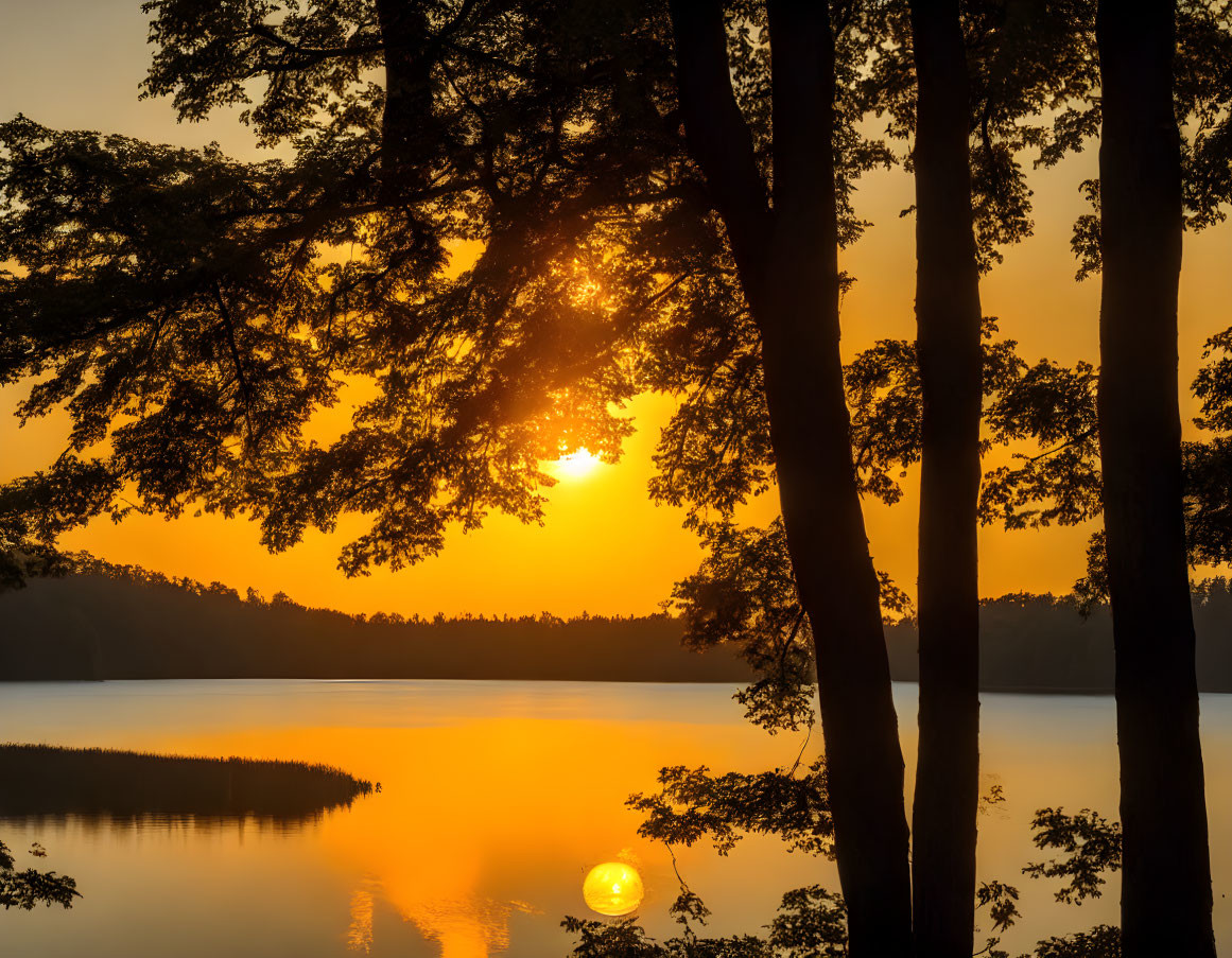 Tranquil Sunrise Scene: Silhouetted Trees and Lake Reflections