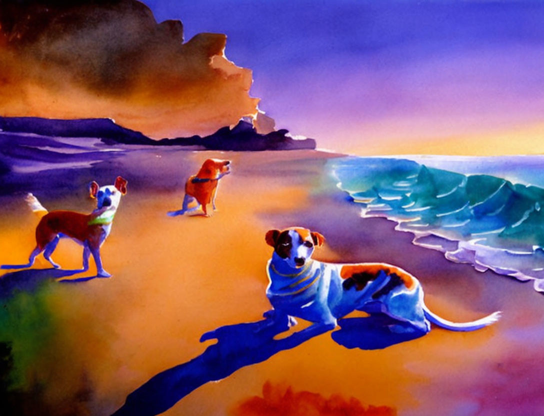 Three dogs on beach at sunset with purple and orange skies and rocky outcrop