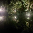 Tranquil night scene: reflective lake, glowing green lights, three pink moons, stars in golden