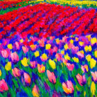 Colorful impressionist tulip field painting with vibrant red, pink, yellow, and purple flowers.