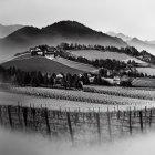 Monochrome landscape: rolling hills, vineyards, misty mountains, small houses