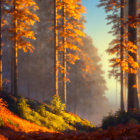 Orange Leaves in Soft Focus Autumn Forest