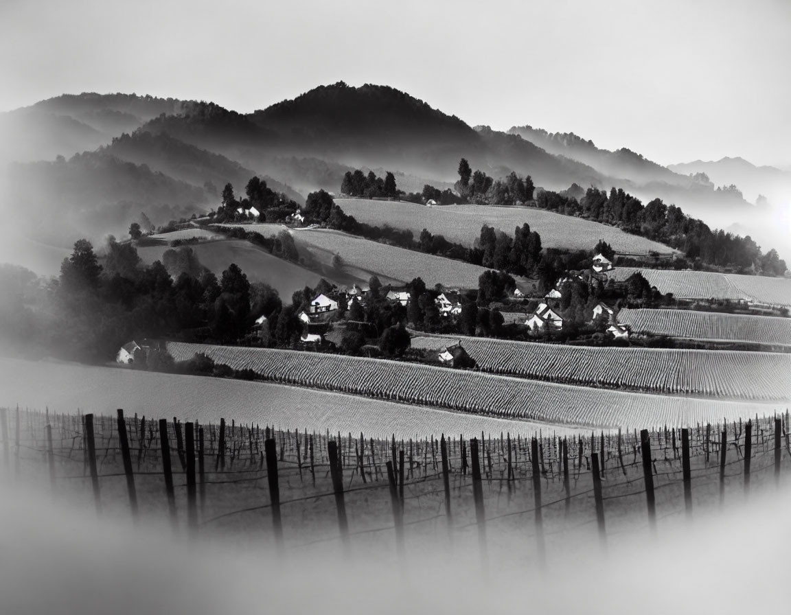 Monochrome landscape: rolling hills, vineyards, misty mountains, small houses