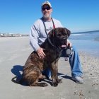 Muscular man with sunglasses and dog on sandy beach