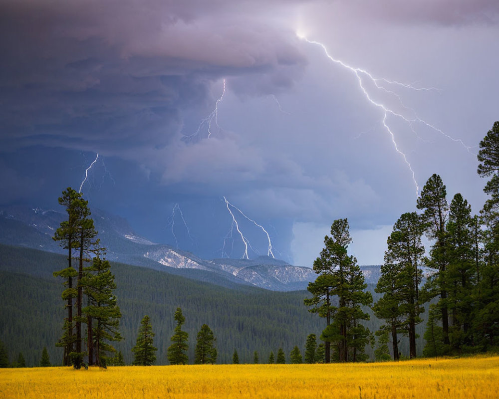 Dramatic lightning storm over pine forest with mountain backdrop