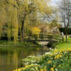 Idyllic cottage surrounded by blooming trees and serene pond