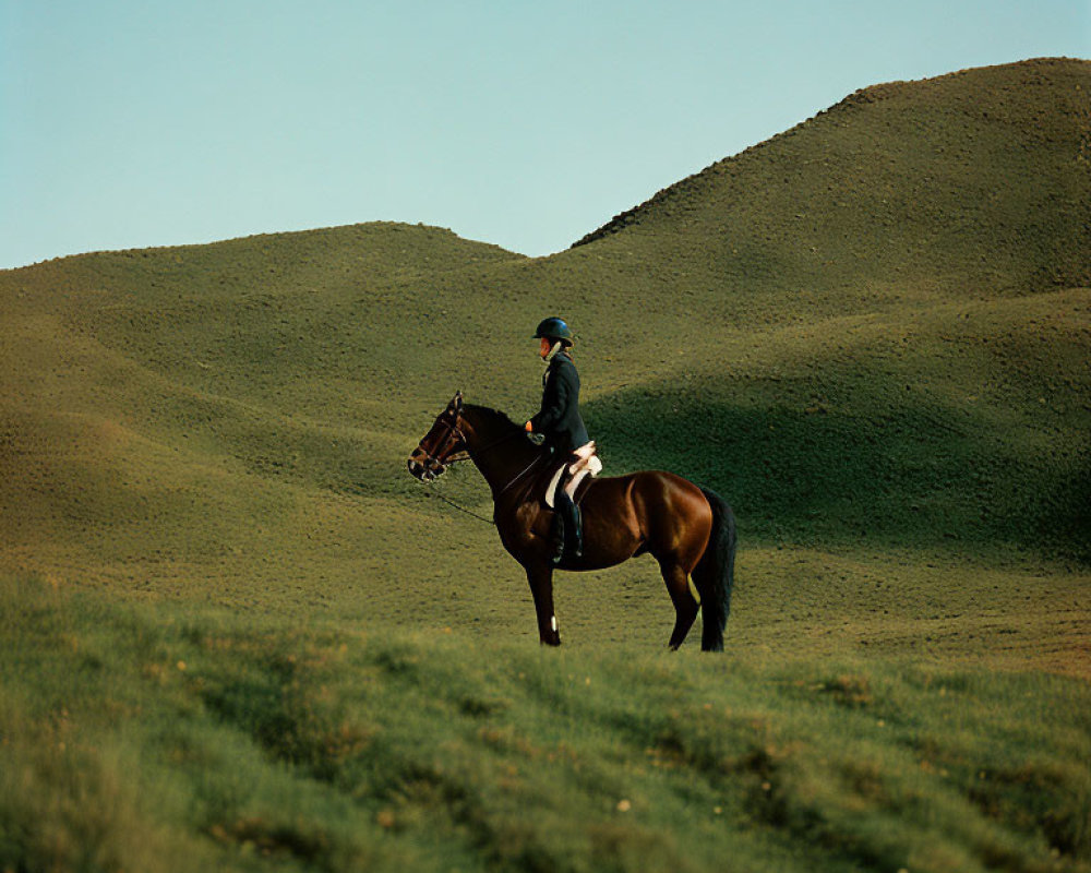 Person riding horse in grassy field with rolling hills