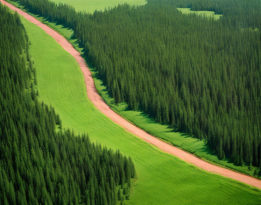 Aerial View of Winding Dirt Road Through Green Fields and Forests