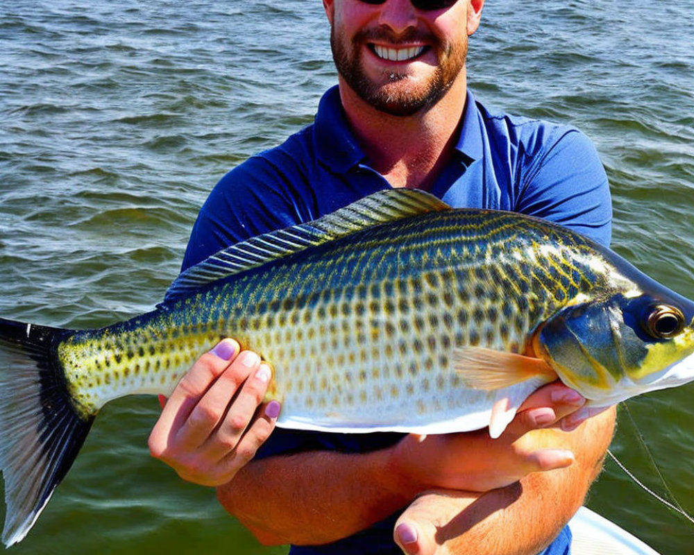 Smiling man with striped bass fish on sunny day