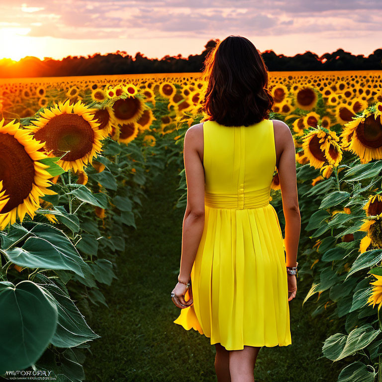 Woman in yellow dress among sunflowers at sunset