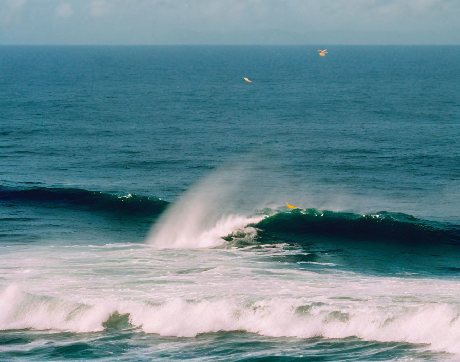 Surfer riding large wave with mist and seabirds over ocean