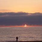 Person fishing in ocean at sunset with seagulls and colorful sky