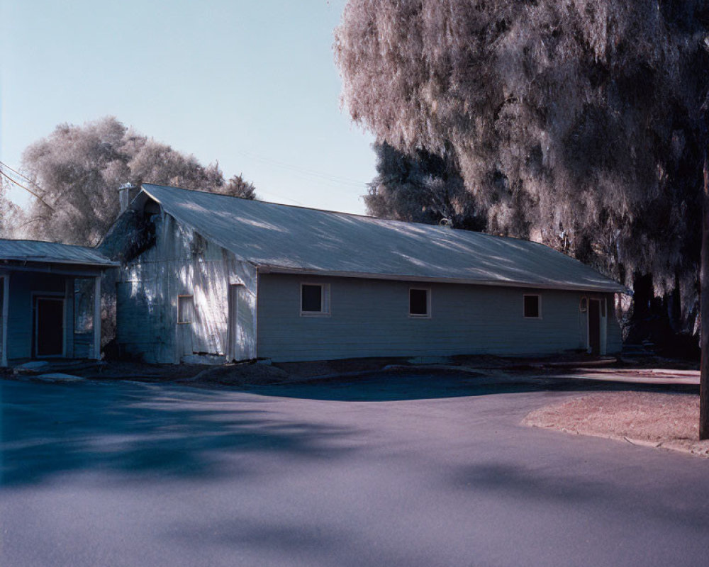 Tranquil street view of a single-story building with a worn metal roof