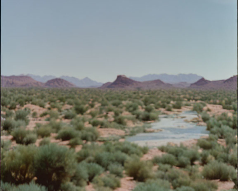 Tranquil desert landscape with river, shrubs, and mountains