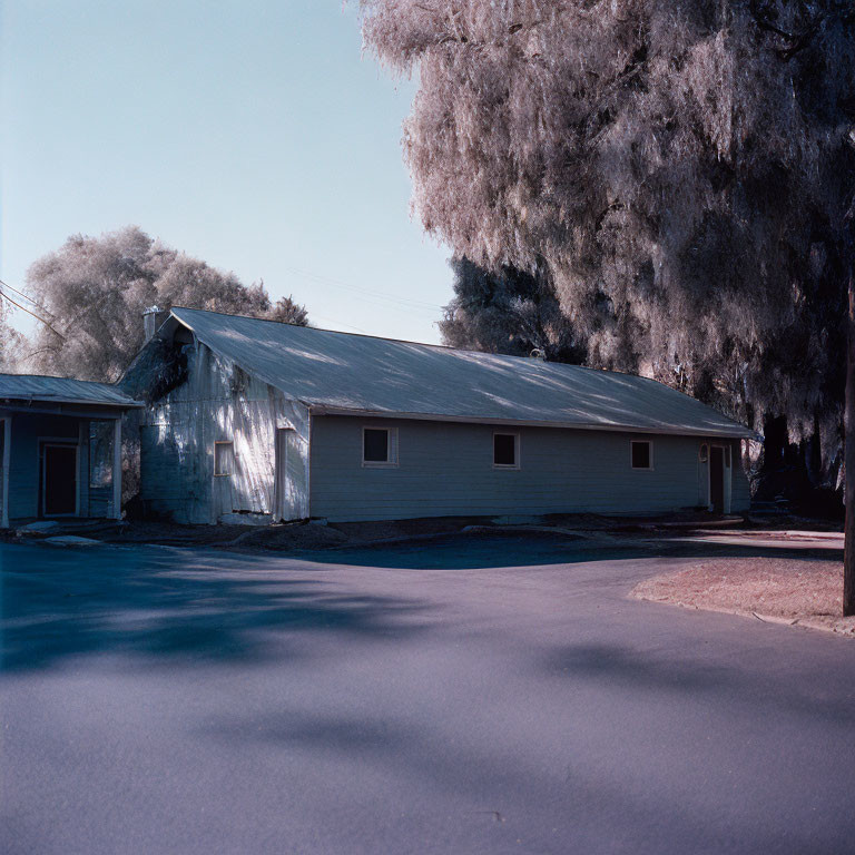 Tranquil street view of a single-story building with a worn metal roof