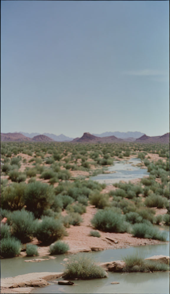 Tranquil desert landscape with river, shrubs, and mountains