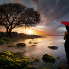 Tranquil Lake Landscape with Sunset and Vibrant Flora