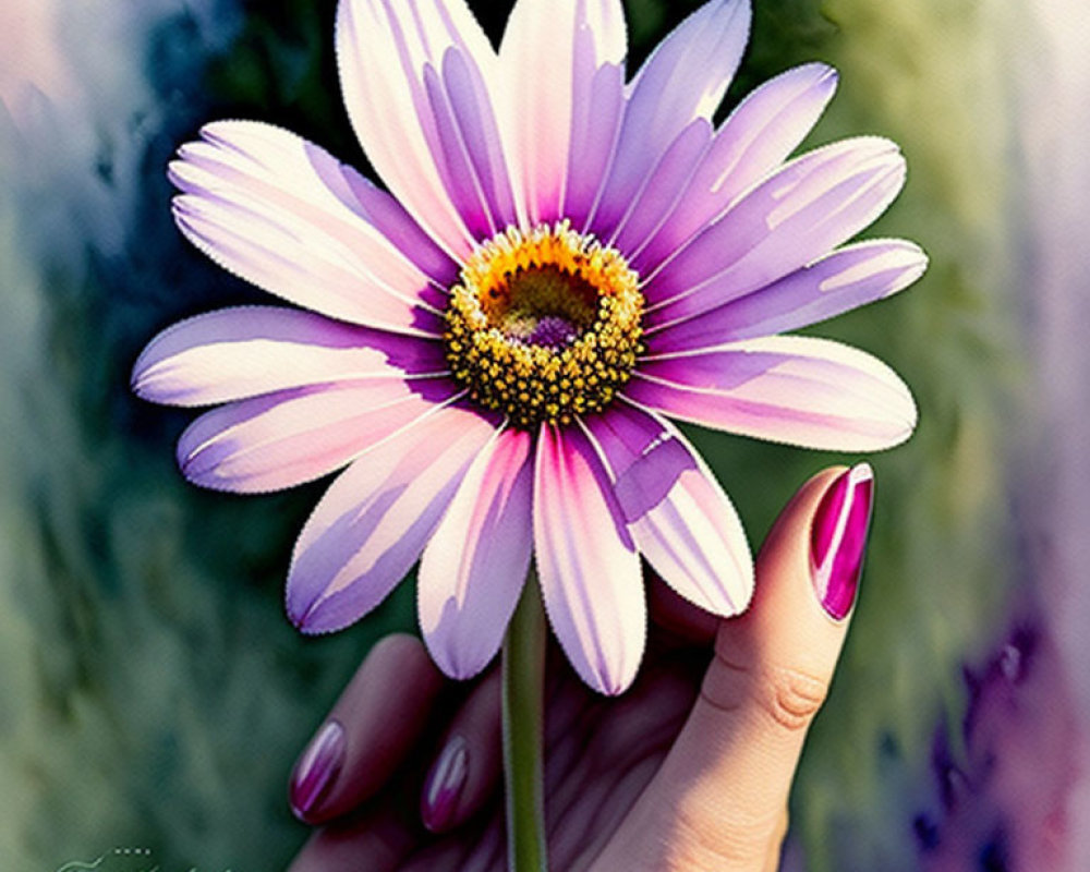 Pink nail polish hand holding pink and white daisy on green background