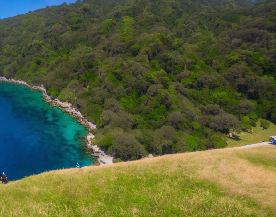 Vibrant Green Hills and Clear Blue Sea in Coastal Landscape