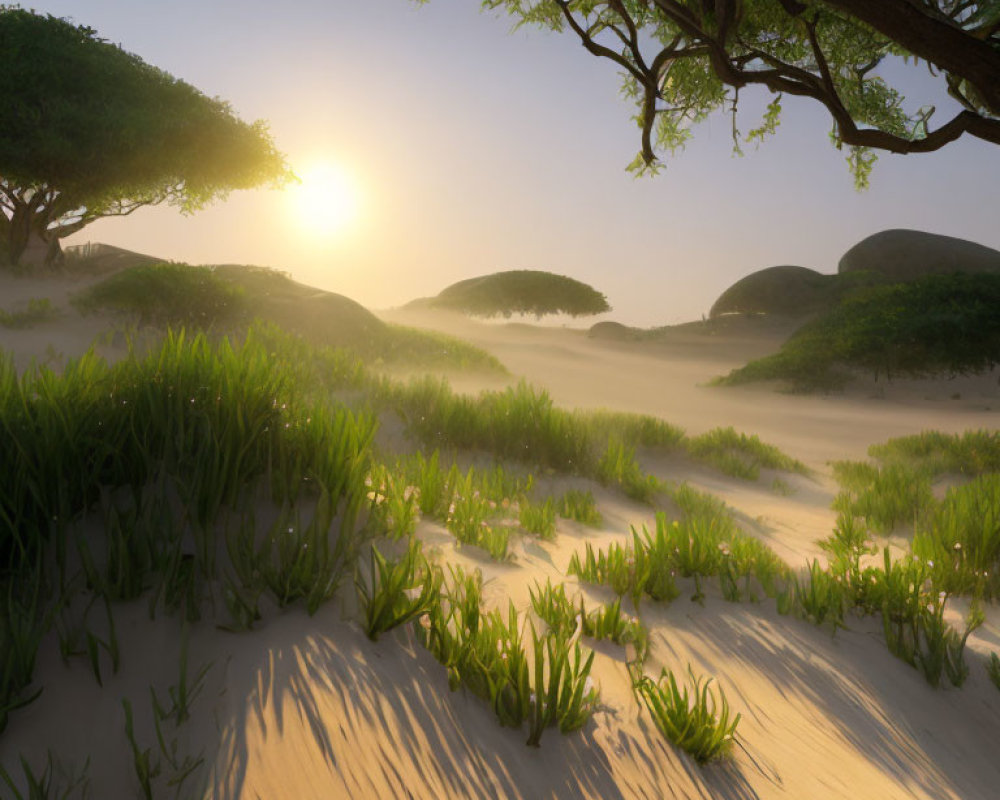 Desert sunrise landscape with green plants, sand dunes, and trees in golden light