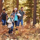 Five animated characters with blue hair in a sunlit forest surrounded by flowers