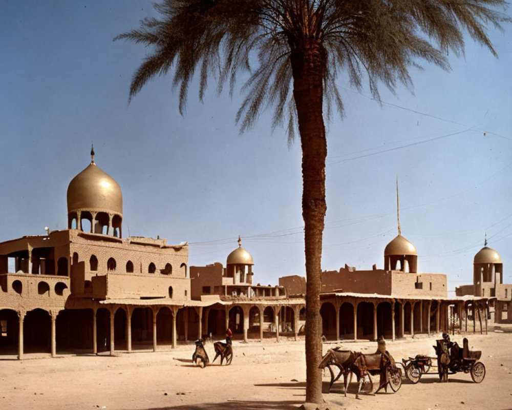 Historic Middle Eastern square with palm tree, carriages, domed buildings.