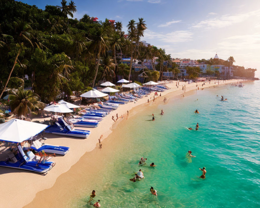 Tropical Beach Scene with Palm Trees and Sun Loungers