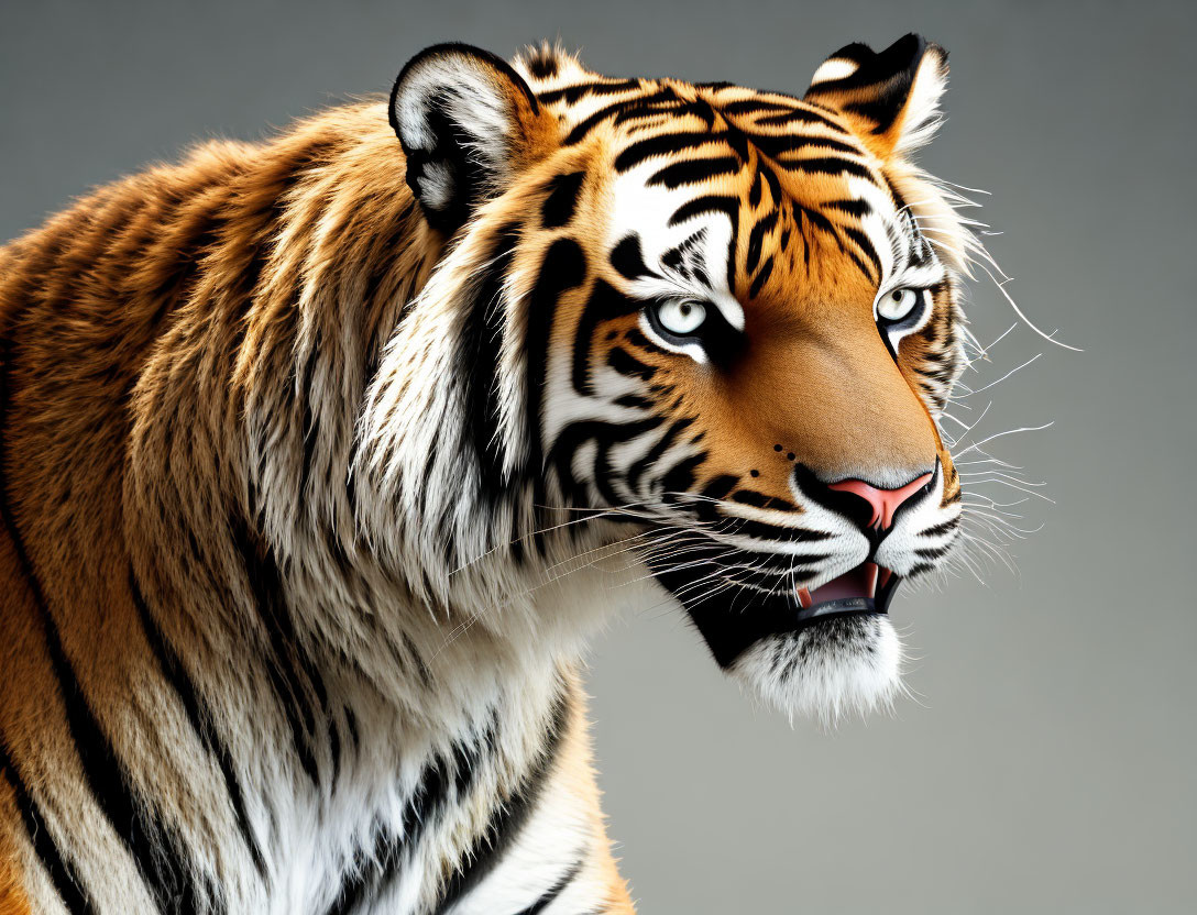 Majestic tiger with orange, black, and white fur, gazing intensely.