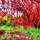 Colorful fantasy landscape with cherry blossoms, golden tree, butterflies, and serene pond