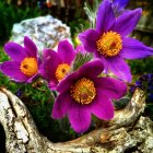 Colorful Floral Painting with Blue, Purple, White Blossoms