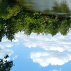 Surreal landscape with mirrored water, ethereal flora, and pagoda structure