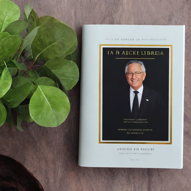 Portrait of Smiling Man in Glasses Next to Green Leaves on Grey Surface