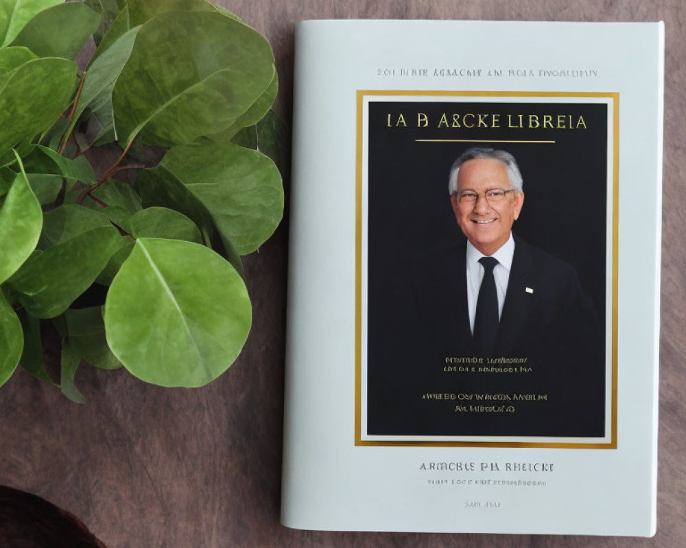 Portrait of Smiling Man in Glasses Next to Green Leaves on Grey Surface