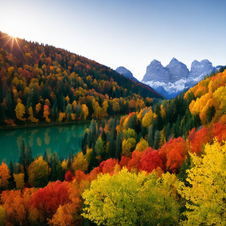 Vibrant autumn forest by turquoise lake and sunlit mountains