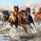 Five Majestic Horses with Dyed Manes Gallop in Shallow Water