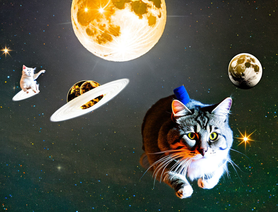 Whimsical space scene with large cat and flying saucer among planets and stars