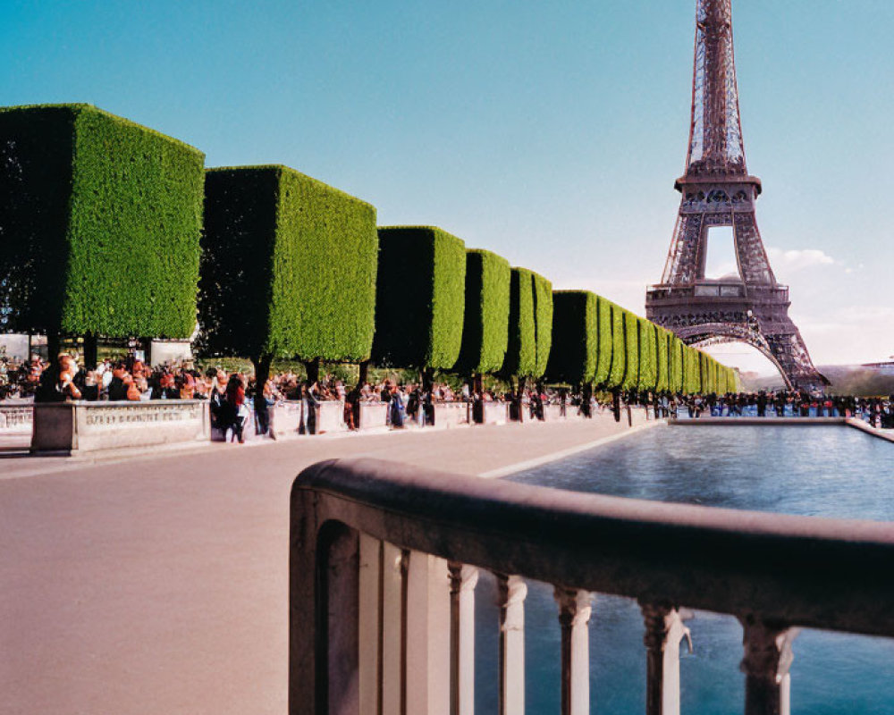 Iconic Eiffel Tower View from Promenade with Green Hedges