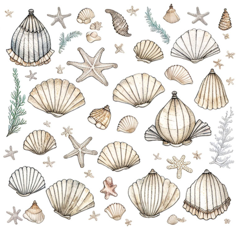 Assorted hand-drawn seashells, starfish, and seaweed in soft colors on white