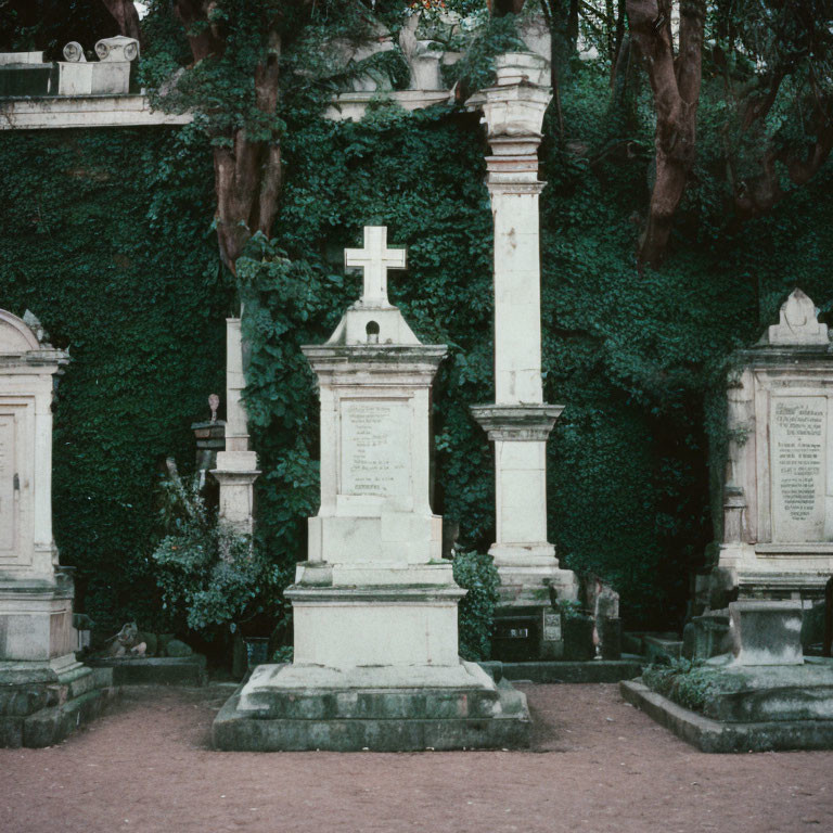 Weathered stone monuments in old cemetery with ivy-covered walls