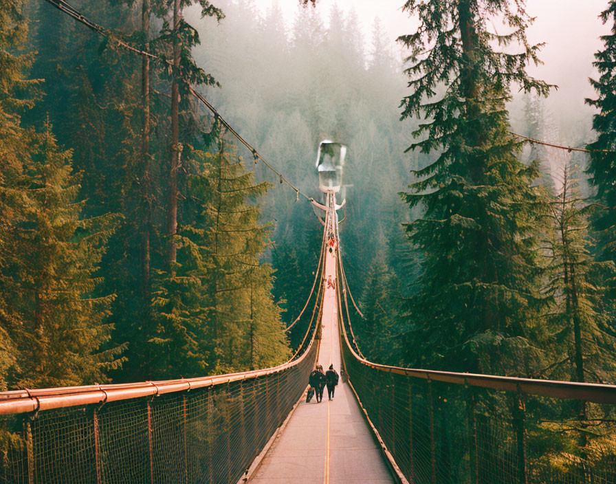 Suspension bridge in misty forest with people walking.