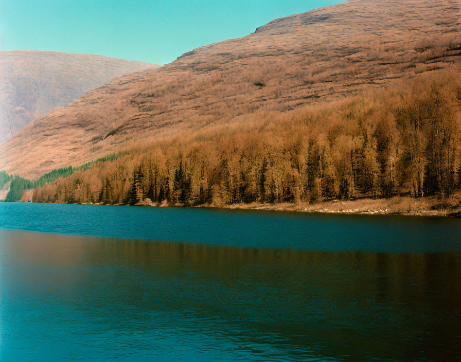 Tranquil lake reflecting autumnal trees and hillside